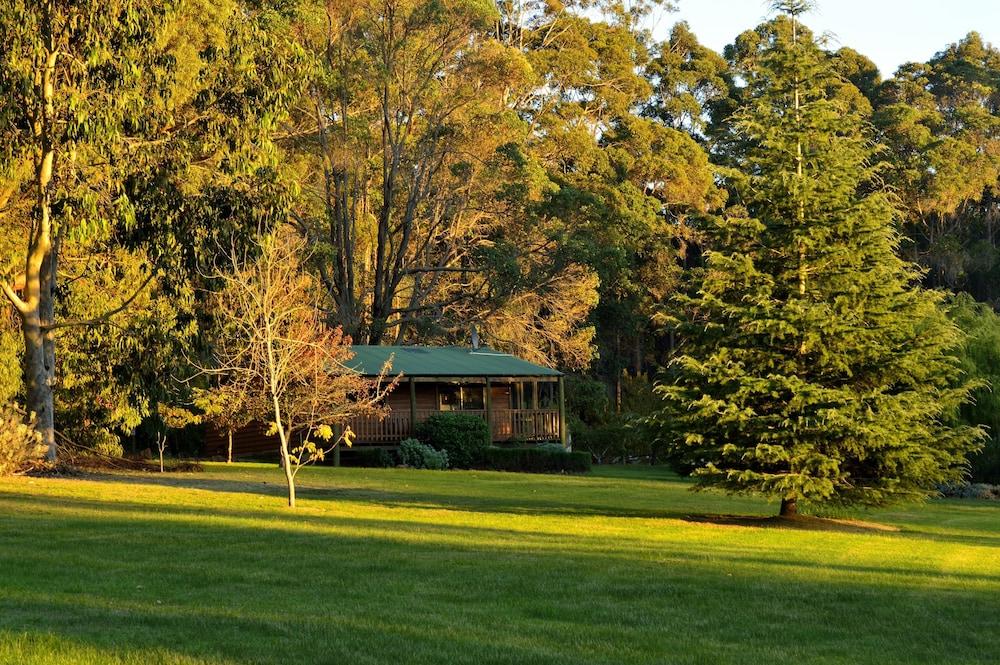 Diamond Forest Farm Stay