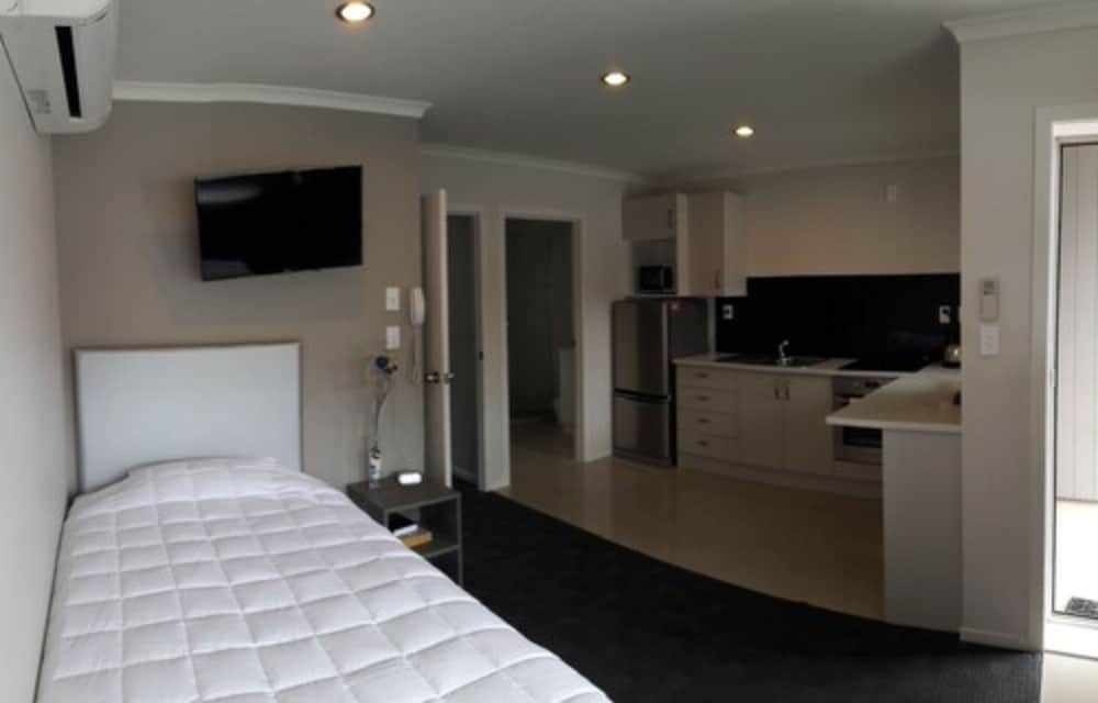 Auckland Phoenix Palm