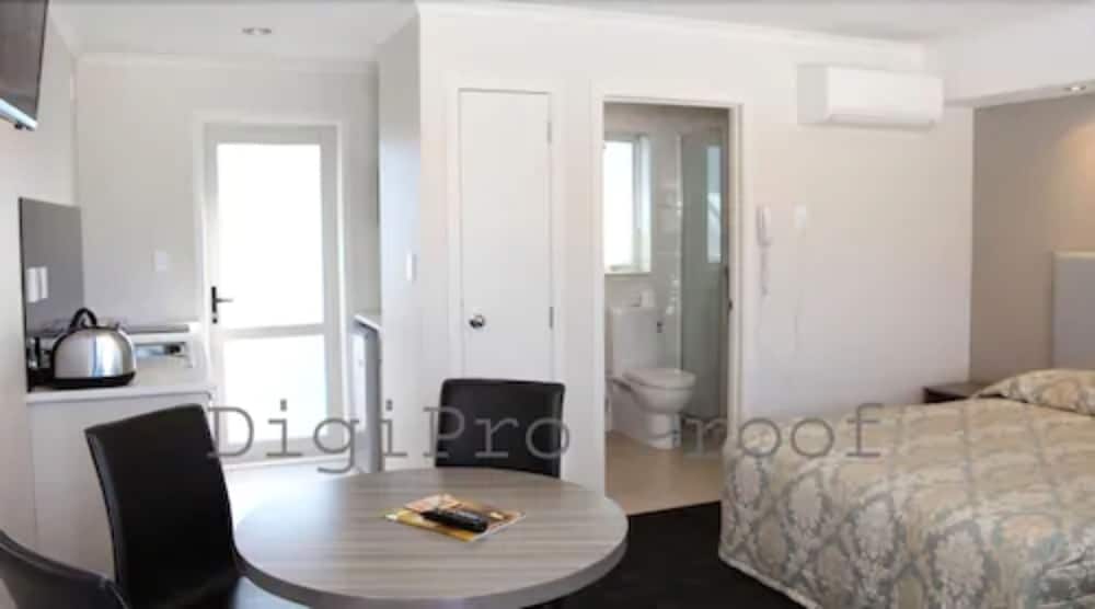 Auckland Phoenix Palm