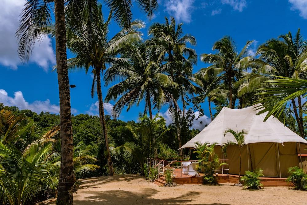 Canvas and Orchids Retreat