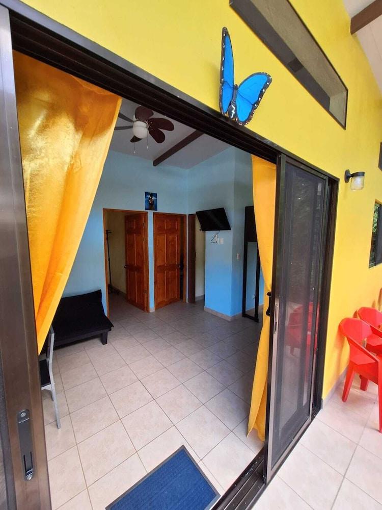 Caribbean Blue Morpho