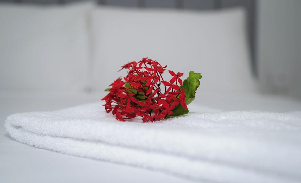 Belmoral Corporate Suites