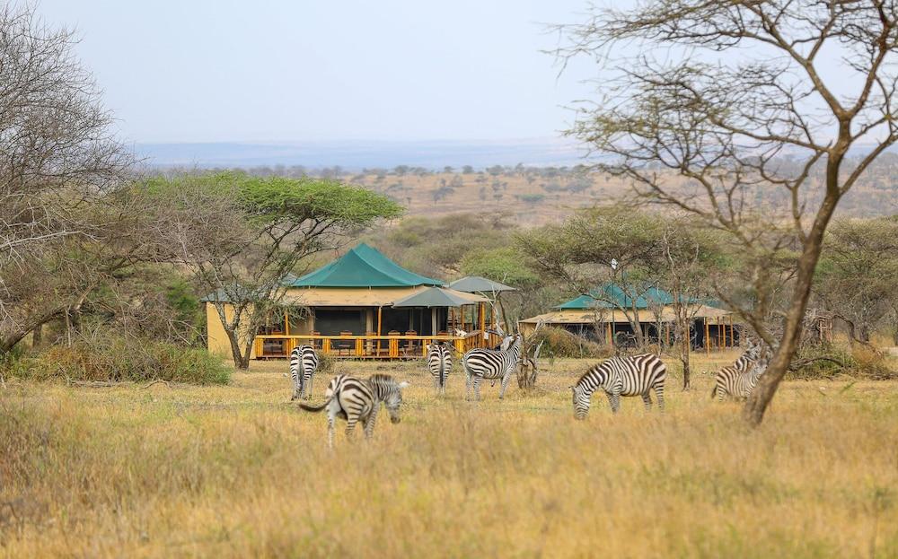 Ndoto Serengeti Camps