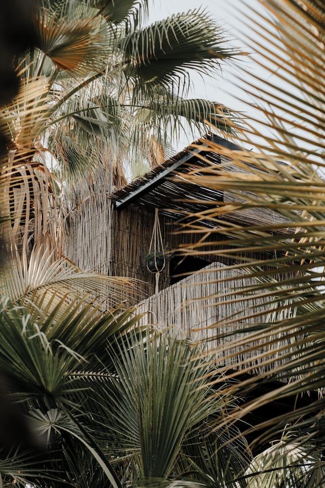 Acre Resort & Residences