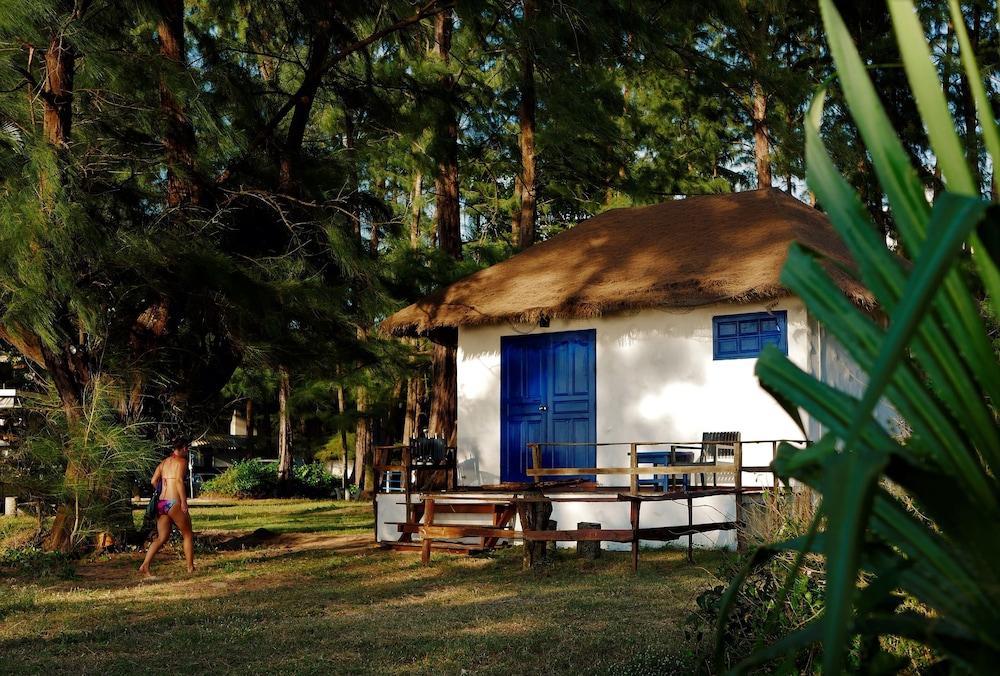 Micky Monkey Beach Hotel Phuket Maikhao Thailand