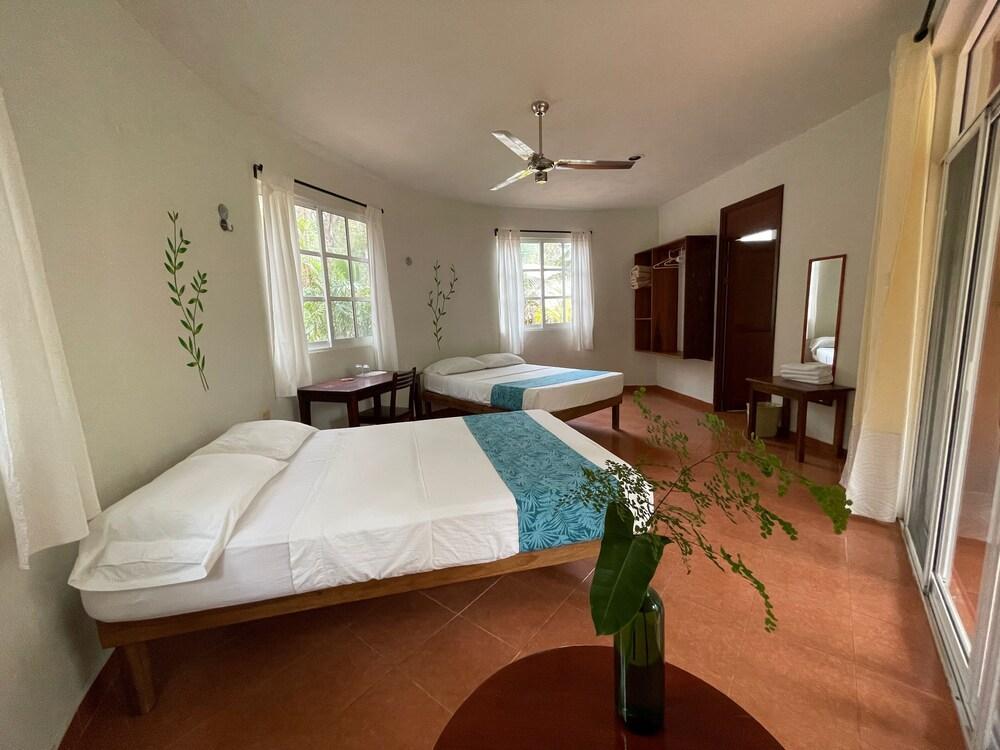 Eco-Hotel Nueva Altia