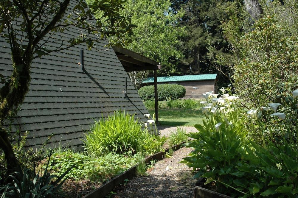 Park Motel and Cabins