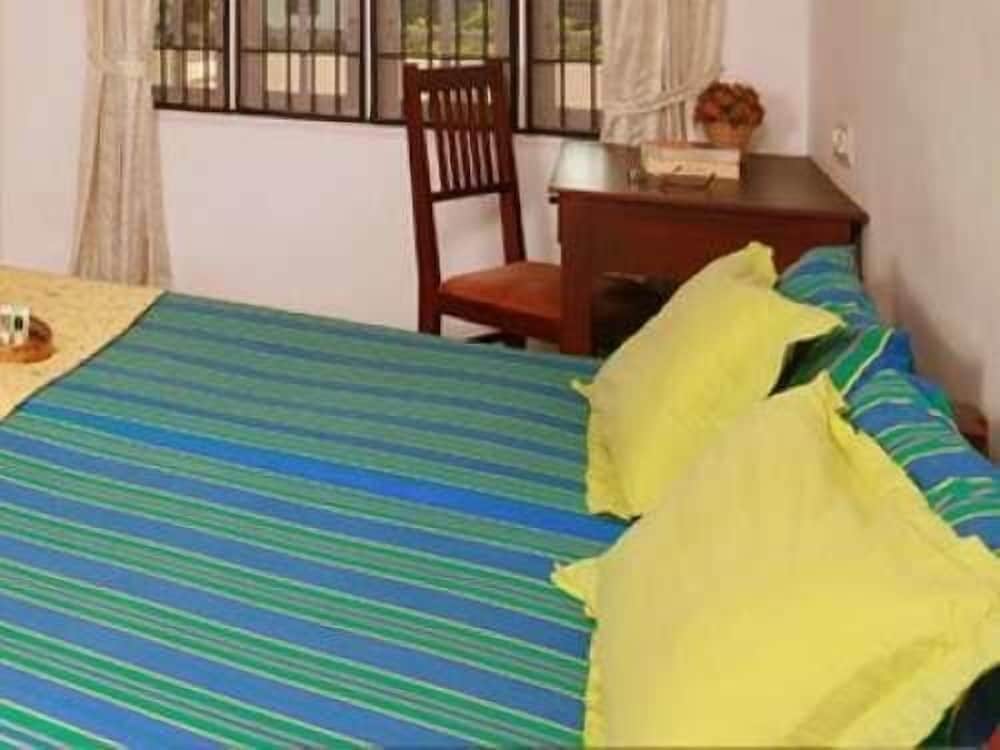 Orion Holiday Homestay