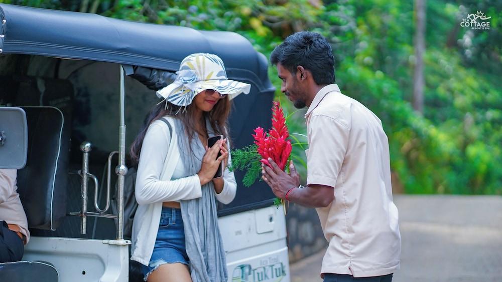 The Tea Cottage Resort & Spa