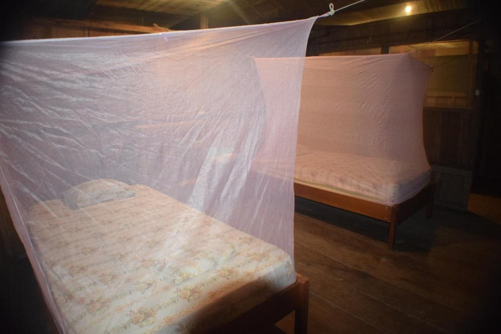 Jungle Wolf Expeditions