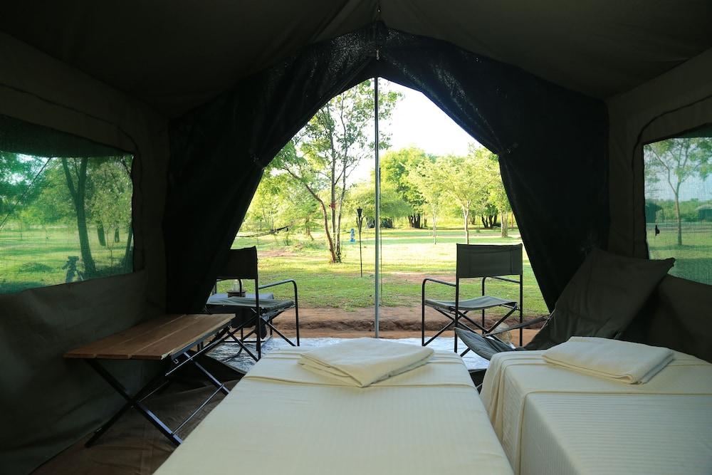 Big Game Yala by Eco Team