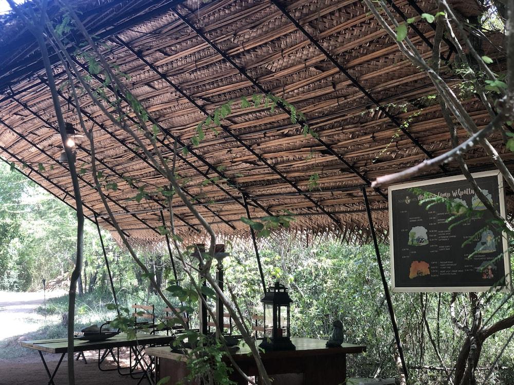 Big Game - Wilpattu by Eco Team