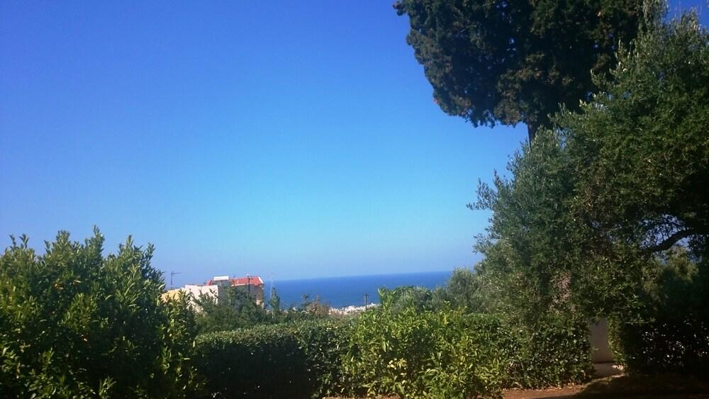 Amazones Sun Studios