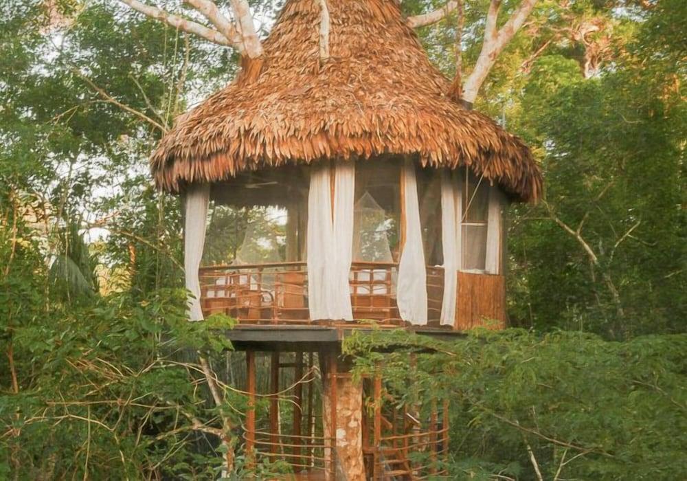 Treehouse Lodge