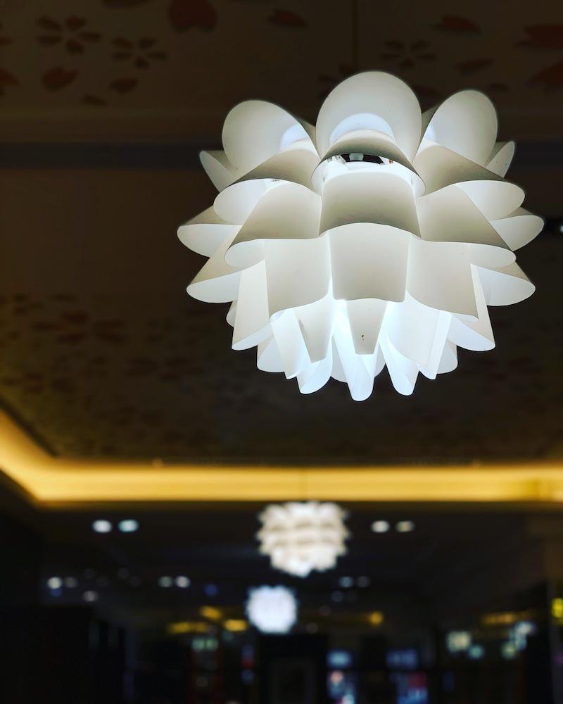 Ever Delightful Business Hotel