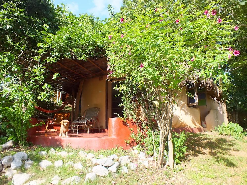 Chiang Dao Roundhouses