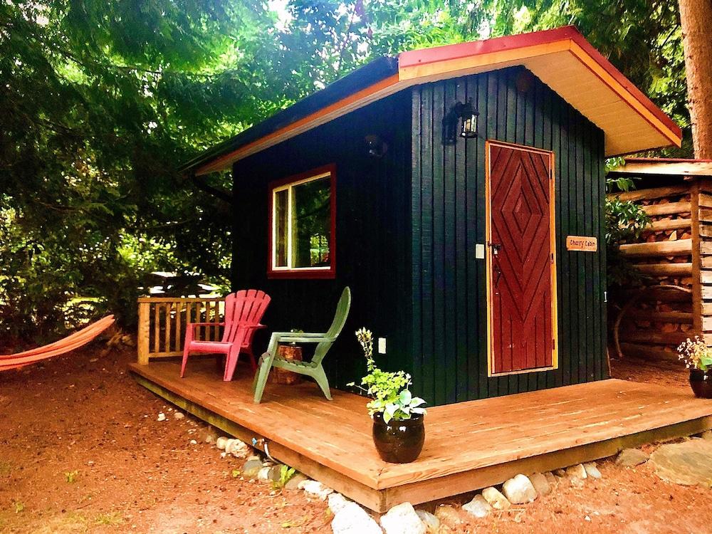 Up The Creek Backpacker's Lodge