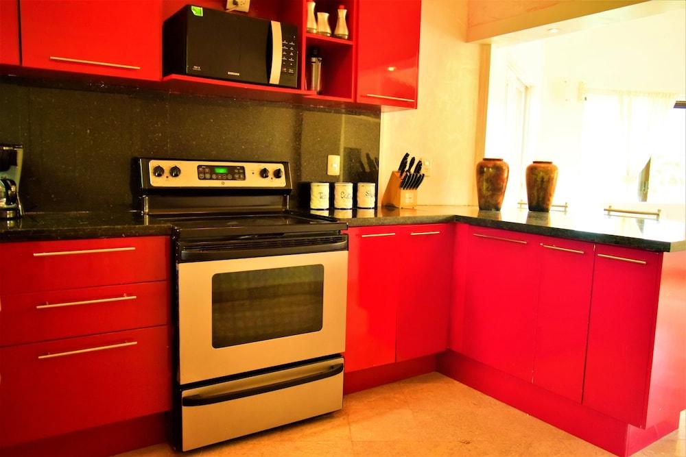 Happy Smile by the Dolphins