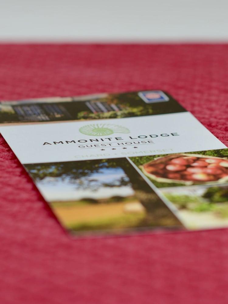 Ammonite Lodge Guest House