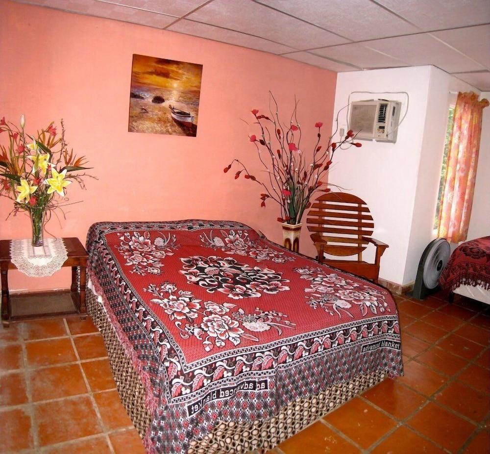 Panama Divers & Octopus Garden Dive Center