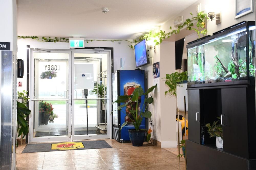 Super 8 Fort McMurray