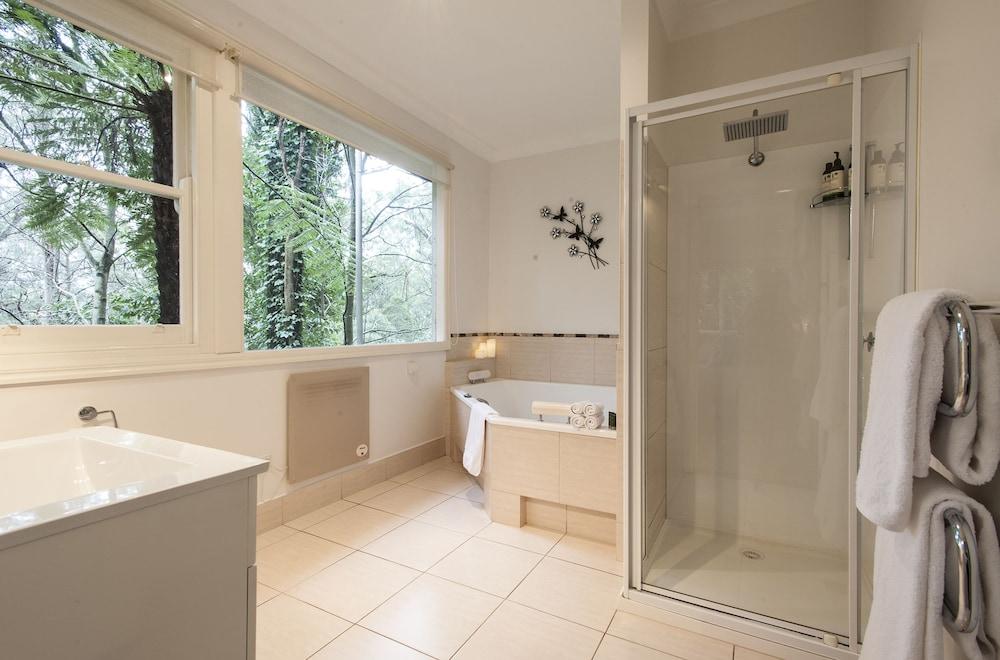 A Cottage in the Forest