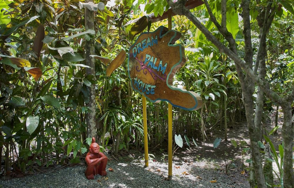 Congo Bongo EcoVillage Costa Rica