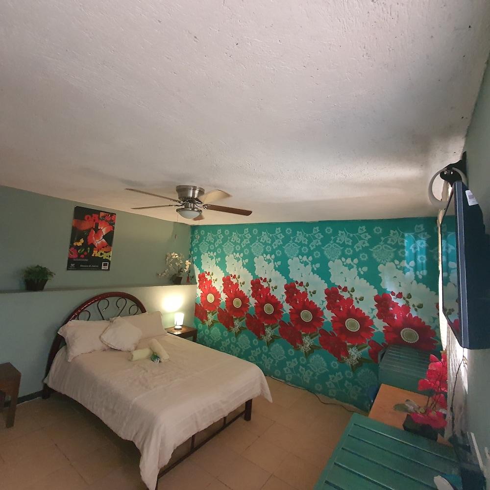 Hierba de Conejo - Hostel