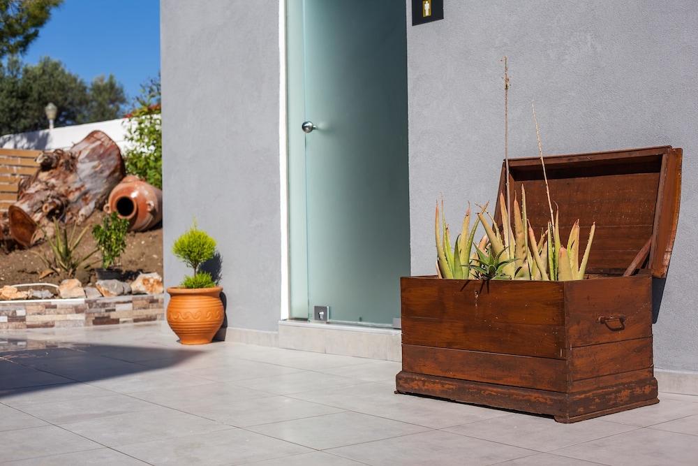 Essential Summer - Adults only