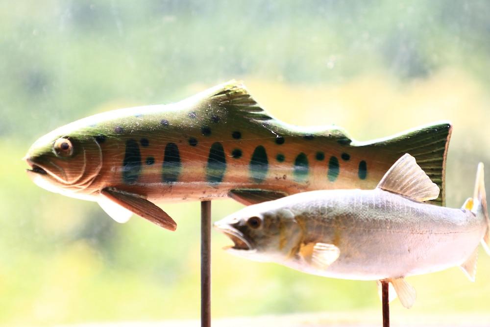 Minshuku Iwananosato