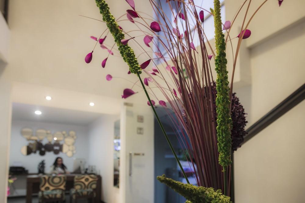 Hotel Platino Expo Guadalajara