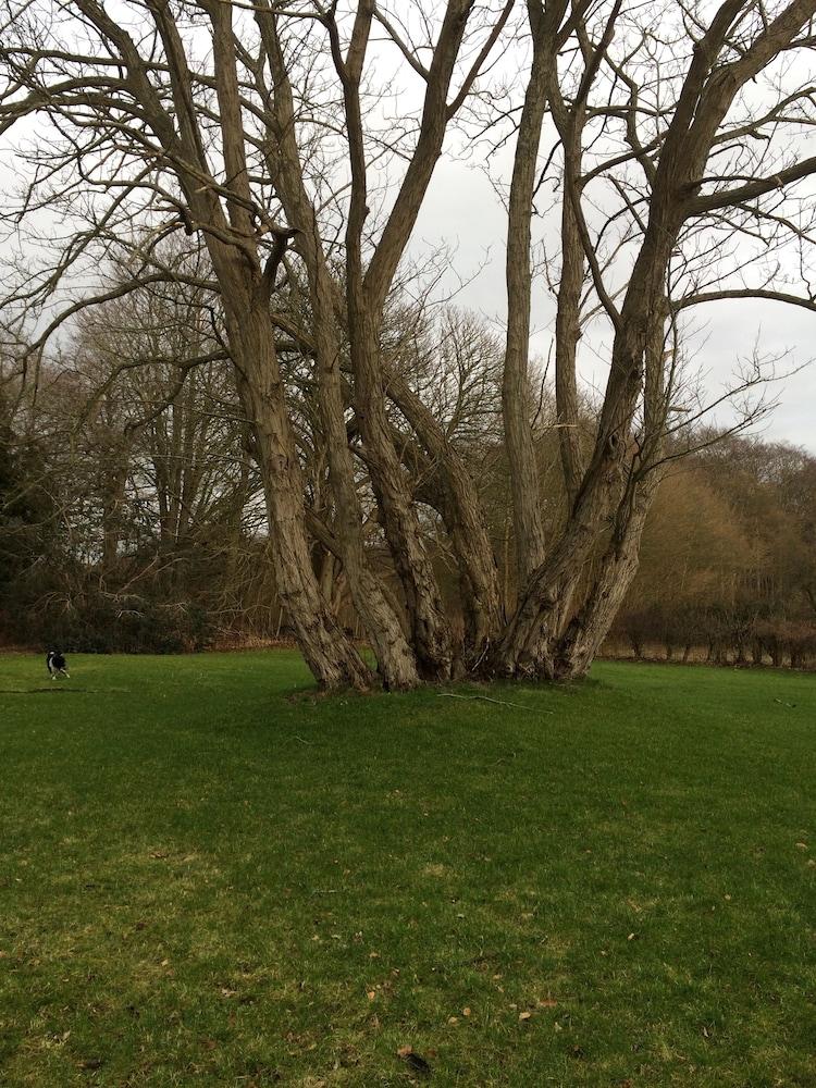 Øbjerggaard Bedrooms