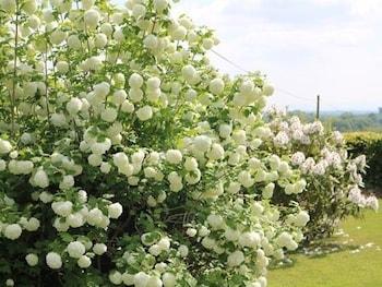 Mortimer Trail B & B