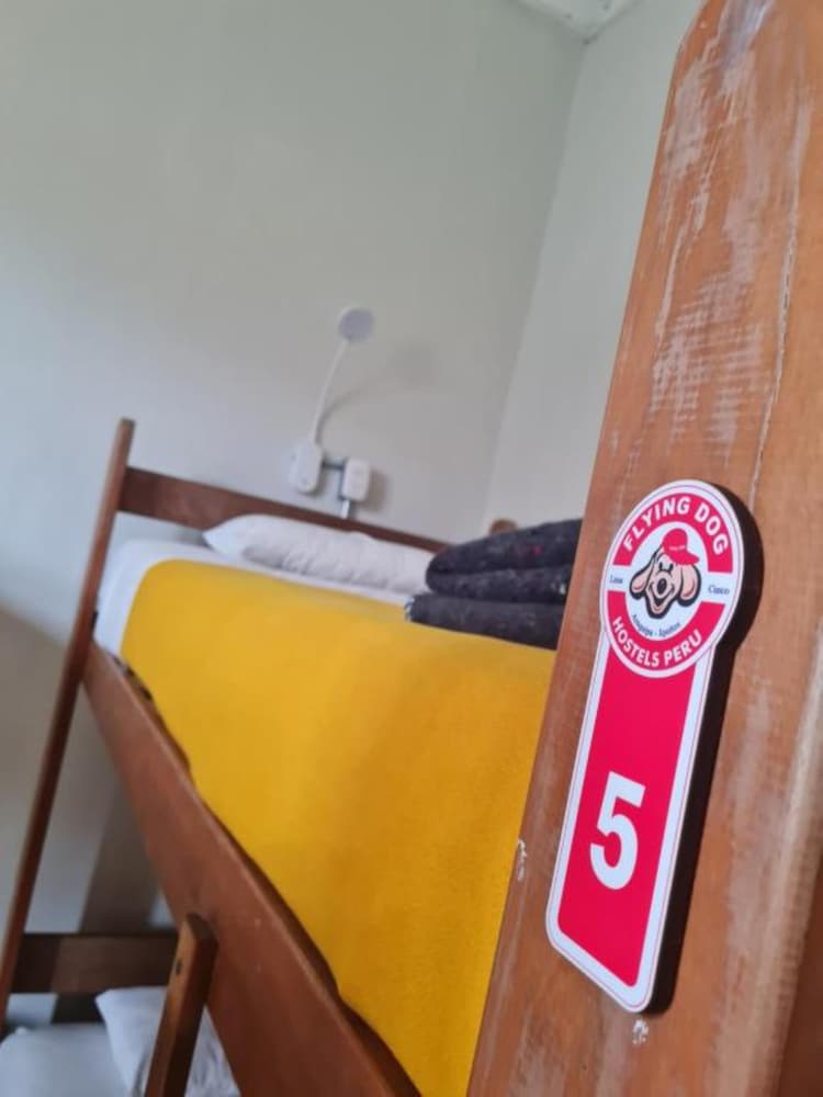 Flying Dog Hostel B&B