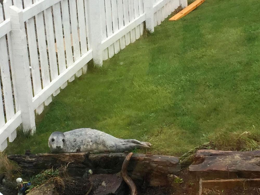 Pew With a View - Seafront Cottages