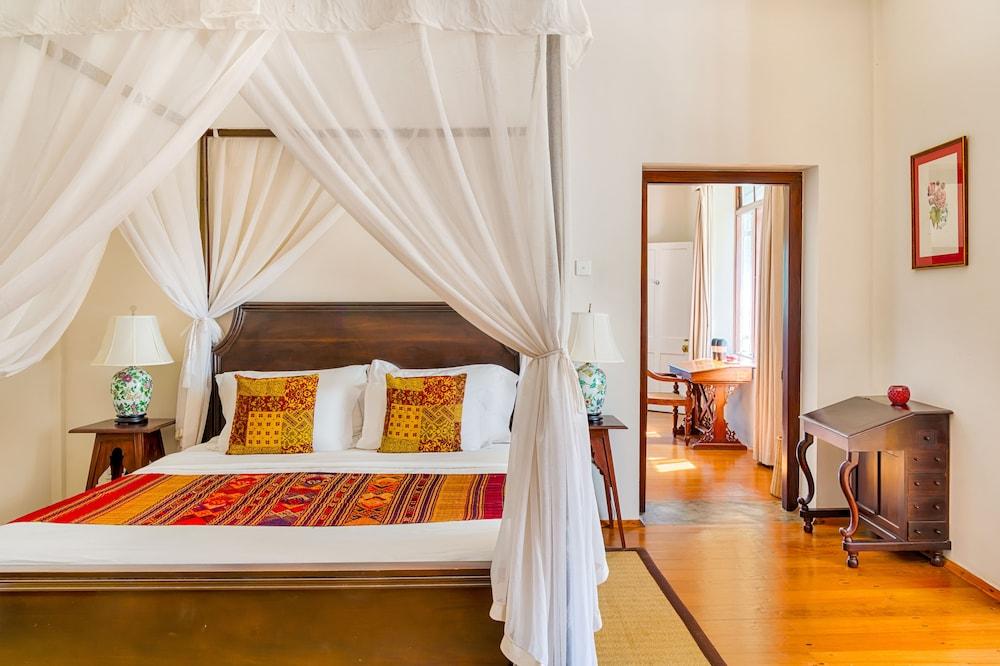 Dickoya by Zink Journeys