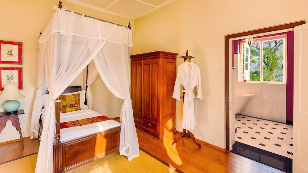 Dickoya by Zink Journeys