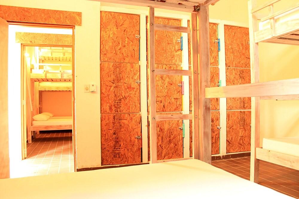 Color Hostel Palomino