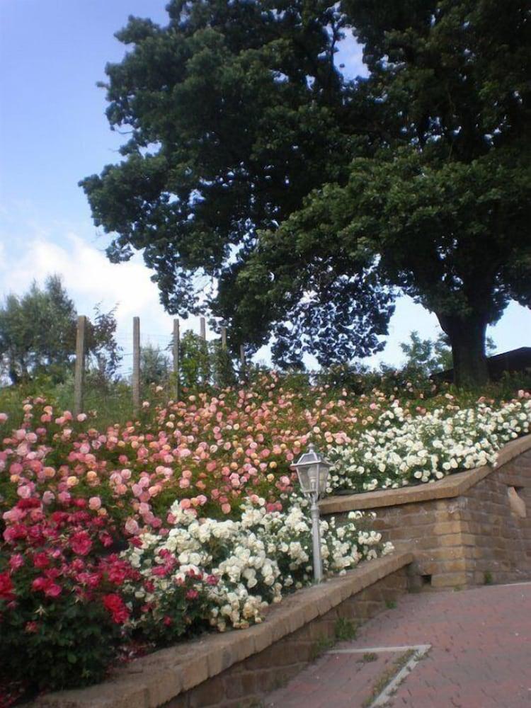Agriturismo Colle delle Querce