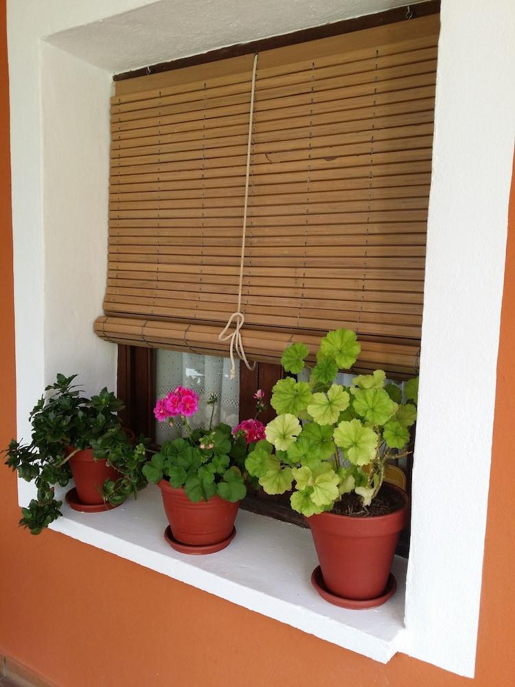 Hospedium Hotel Val de Pinares