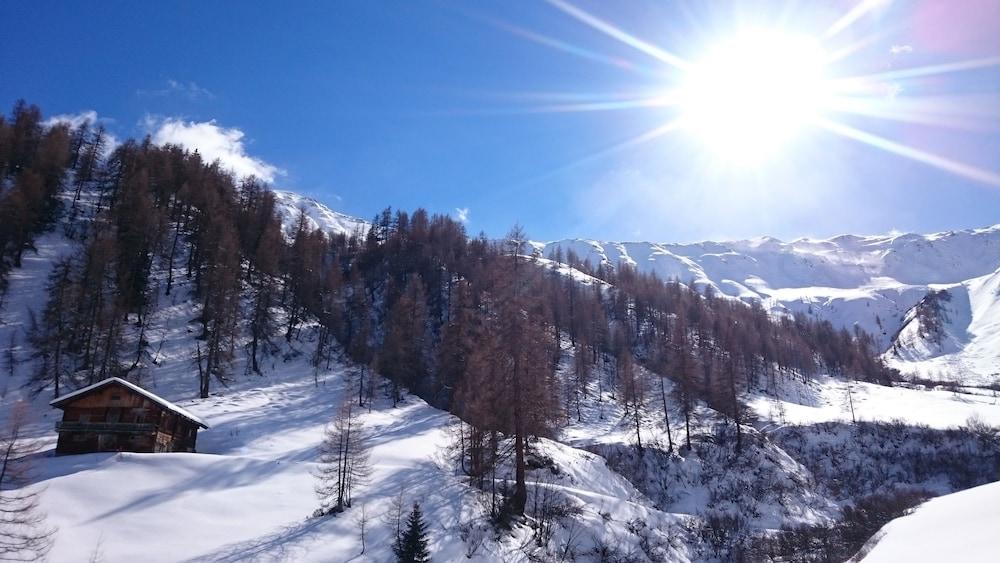Ferienwohnungen am Berg - Almhütte Alfen