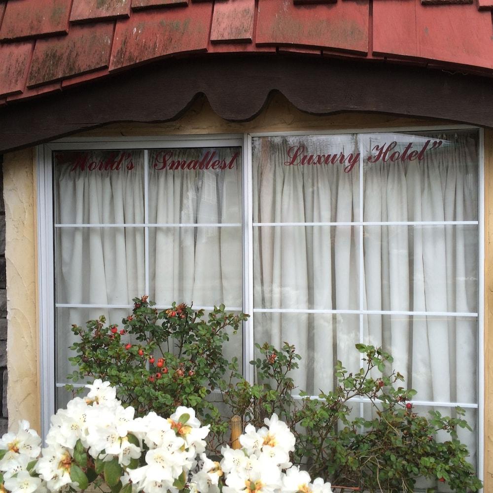 Little Inn on Willow