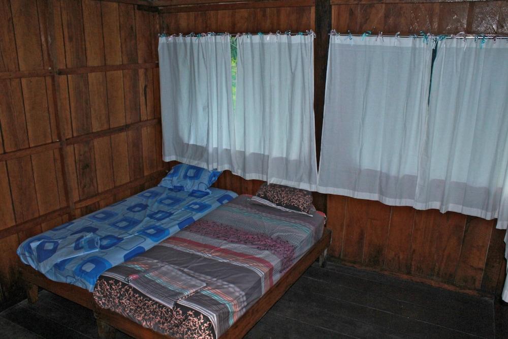 Tropical Adventures & Expeditions