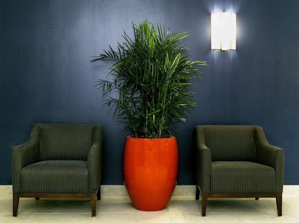 Commodore Suites, SureStay Collection by Best Western