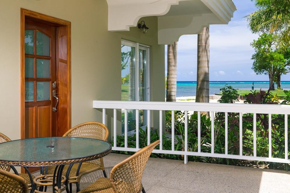 Lawson Rock Angelfish 100