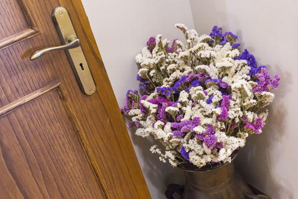 Charming Antas House