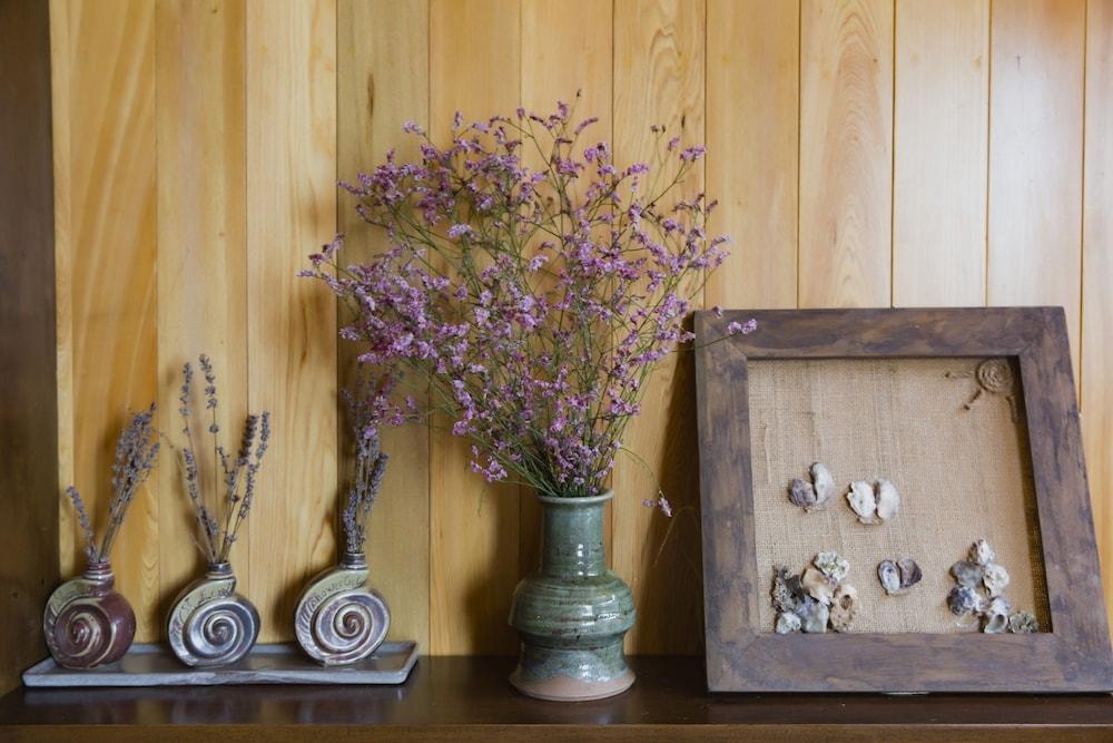 Secret Halong Cruise