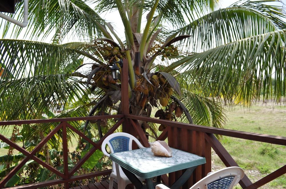 White Coconut Studio