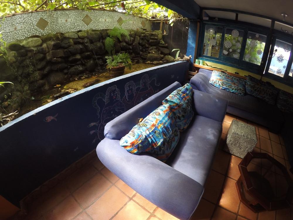 Golfinho Tropical Hostel e Pousada