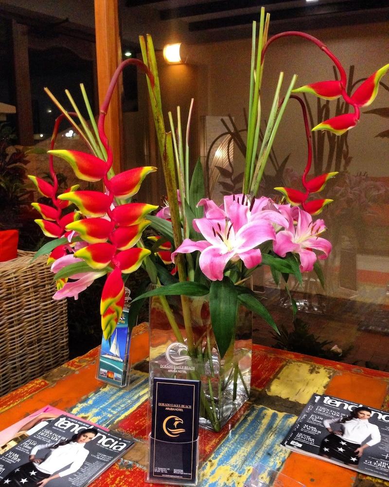 Dorado Eagle Beach Hotel